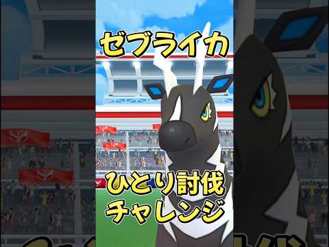 【ポケモンGO】ゼブライカレイドバトルひとり討伐チャレンジ！ #ポケモンgo #ポケモン #ポケgo #pokemongo #pokemon #shorts