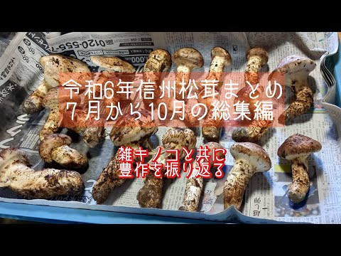 令和6年総集編　信州松茸きのこ狩り　７月から10月までのダイジェストまとめ