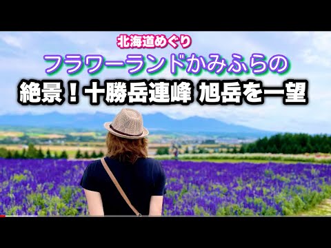 【北海道上富良野町】フラワーランドかみふらのの絶景！四季折々の花畑とパノラママウンテンビューを楽しむ