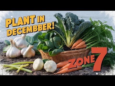 What to Plant in December for a Thriving Garden in Zone 7 | Winter Gardening Tips