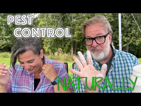 How to Deal with Pests Naturally