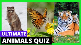 Secrets of the Animal Kingdom Revealed  Fun Quiz! (Part 2) #wildlifeadventure #wildlifeadventures