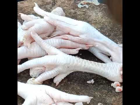 Membersihkan kaki ayam / CUTTING CHICKEN FEET