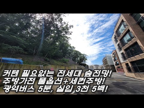 주방가전풀옵션! 모든 침실 붙박이장! 초등학교/광역버스 도보 7분! 만족스러운 가격과 입주금의 분당권 신축빌라,전세대 평생 숲전망 보장!