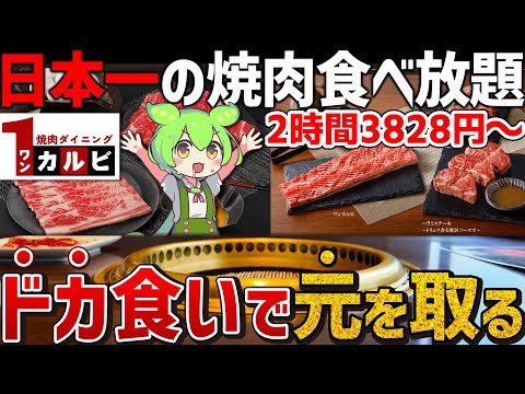 【2時間3828円～】日本一旨い焼肉食べ放題！？ワンカルビをドカ食いレビュー！【ずんだもん】