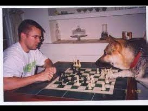 (GR) Chess terms