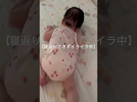 【生後3ヶ月赤ちゃん】寝返りしたいのに片手が抜けずイライラ😣#赤ちゃん #生後3ヶ月 #日韓ハーフベビー #日韓夫婦