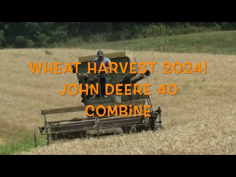 Wheat Harvest 2024, Antique John Deere 40 Combine