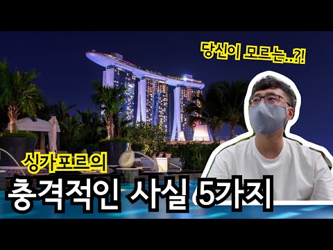 싱가포르의 충격적인 사실 5가지 | 여행으로는 알 수 없는 진짜 이야기 | 문화충격