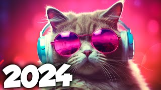 MÚSICA ELETRÔNICA 2024 🔥 AS MÚSICAS ELETRÔNICAS MAIS TOCADAS 🔥 Alok, Vintage Culture & David Guetta