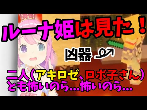 アキロゼとロボ子さんがお互いを落下死させている所を目撃してしまうルーナ姫　【ホロライブ　切り抜き】hololive clip