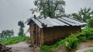 Naturally Peaceful And Beautiful Himalayan Mountain Village Life in Rainy Season |Rural Life Nepal