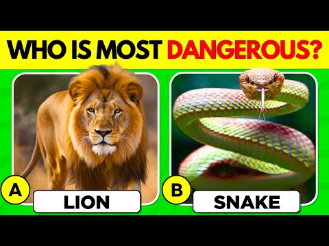 How Good Is Your Knowledge of ANIMALS? 🦁✅ 50 Animals Knowledge Trivia Quiz 🐘