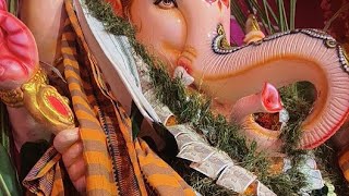 ganpati  is live!