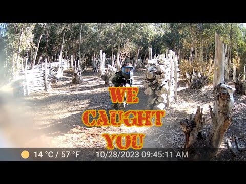 We Caught You 10/28/23 AM Paintball