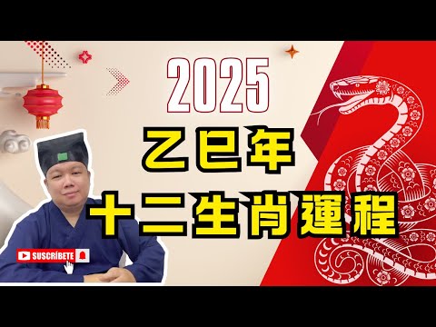 【2025年乙巳年運】蛇值太歲，十二生肖如何應對流年變化？