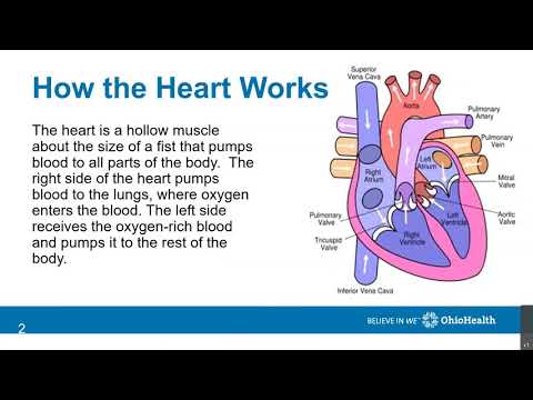 Anatomy and Physiology Part 1