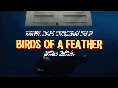 LIRIK DAN TERJEMAHAN LAGU BIRDS OF A FEATHER (Billie Eilish)