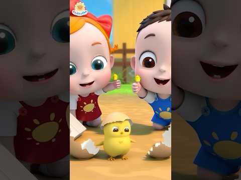 Chicken Finger, Where Are You? | Farm Animals Finger Family | Baby Songs | LiaChaCha #shorts #baby