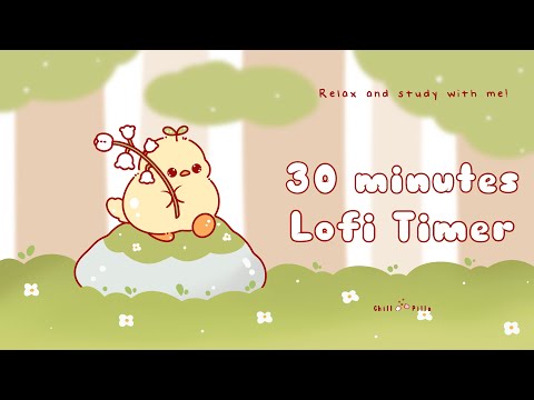 30 minutes - Relax & study with me Lofi | Duck on a rock #30minutetimer  #30min  #lofi #relaxing