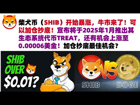 柴犬币（SHIB）开始暴涨，牛市来了！可以加仓抄底！宣布将于2025年1月推出其生态系统代币TREAT，还有机会上涨至0.00006美金！会涨到0.1美金吗？加仓抄底最佳机会？#柴犬币#屎币行情分析