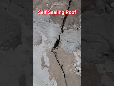 Self Sealing Roof you Need!