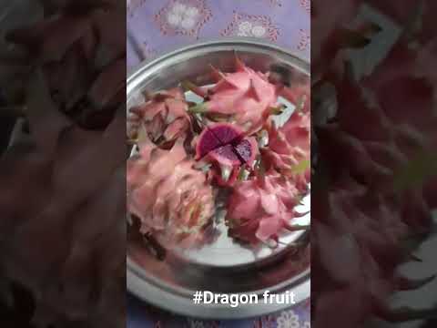 #dragonfruit #fruit #famousfood#like #viral#tasty#farming