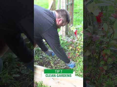 How To: Fall Yard Cleanup #shorts