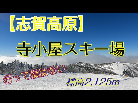 【志賀高原】寺小屋スキー場　志賀に来てオープンしてたら行ってみよう！