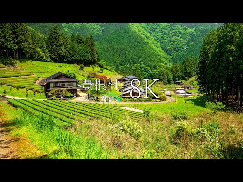 [Unexplored Aichi] 10 scenic spots in Toyone Village - JAPAN in 8K