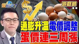 【精華】通膨升溫 電價調整 蛋價連三周漲！ 日本缺工 高通膨 雙重衝擊怎麼解？ #游庭皓 #金臨天下  @tvbsmoney  20250311