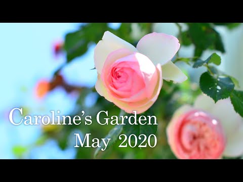 Caroline's Garden　May 2020