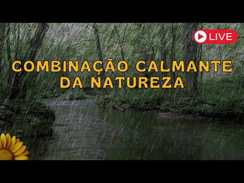 🔴Combinação CALMANTE da NATUREZA, SOM de CHUVA com  RIACHO ao fundo DORMIR e RELAXAR💤