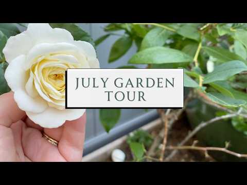 July Garden Tour 🫐🫑 Berry Harvest, Staking Tomatoes & Pearl's Pepper Patch 😻 | SEASON & SERVE BLOG