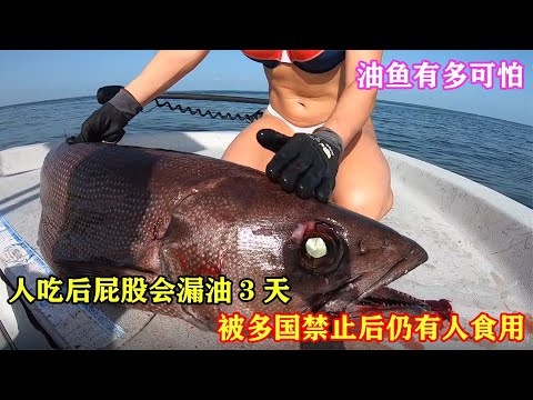 油魚有多可怕？人吃后屁股會漏油3天，被多國禁止后仍有人食用？