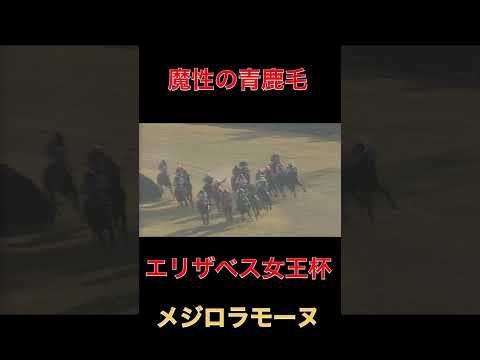 魔性の青鹿毛メジロラモーヌ【競馬】#競馬#メジロラモーヌ#ウマ娘