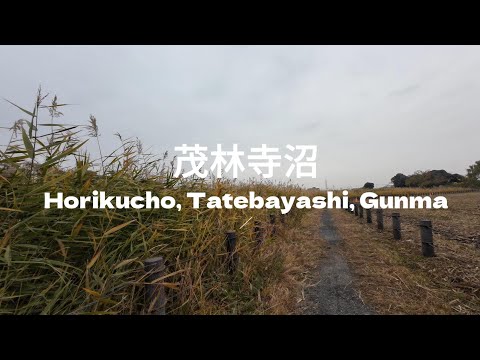 Cycling in Japan / Bike Ride in Japanese Park | Gunma 2023/12 ASMR - Journeys in Japan #29