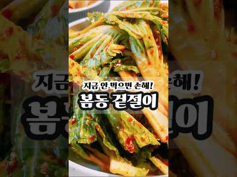 🌸 봄 제철 반찬! 아삭하고 새콤한 ‘봄동 겉절이’ 이렇게 무쳐야 제맛! 🌿