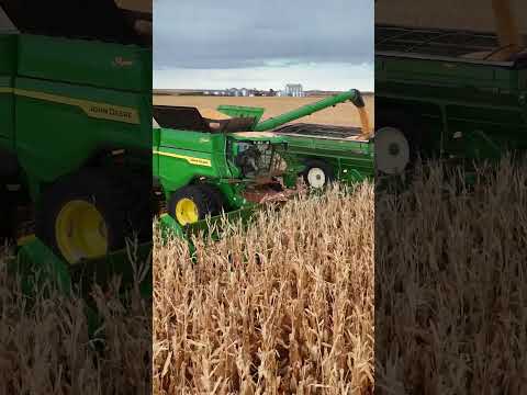 Epic 😍 John Deere S7 800 Combine #S7Combines