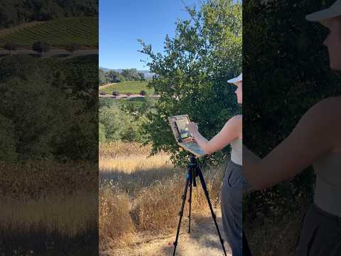 Finding the perfect painting composition in the California landscape #pleinair #pleinairpainting