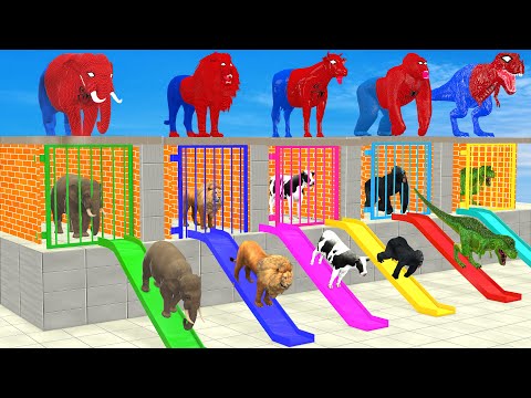 Long Slide Game With Elephant Cow Lion Gorilla 3d Animal Game Funny 3d Animals Cage Game