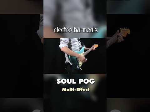 EHX Soul POG Overdrive + Octave Pedal Demo