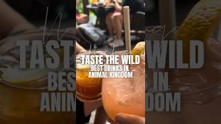 Thirsty for Adventure? Explore Best Drink Animal Kingdom Here! #disneyfood #disneydrinks