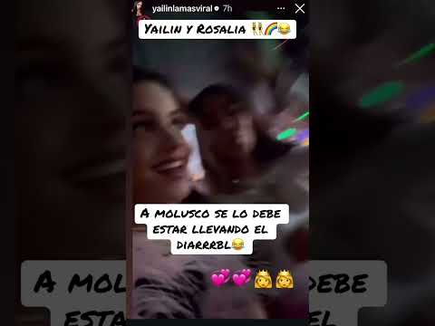 Yailin también se dará a Rosalia #remix #rosalia #yailin