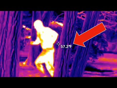 Must-Watch Before You Buy: Teslong 3.5 Inch Thermal Camera Detailed Review