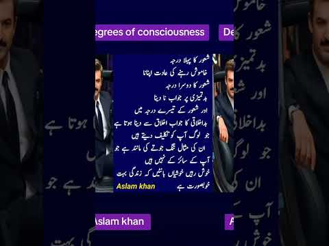 Degrees of consciousness. Aslam Khichi