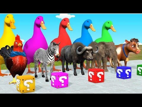 Choose The Right Gift Box Run Game With Elephant Cow Gorialla Buffalo Pig Trex Wild Animals Games