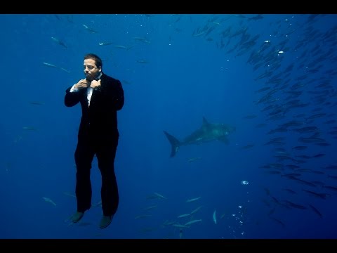 Swimming with Sharks | David Blaine