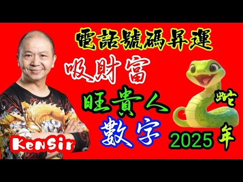 ☎️📲💰2025年｜蛇年最旺｜吸錢財｜吸貴人｜電話數字 #電話號碼昇運 #能量 #astrology