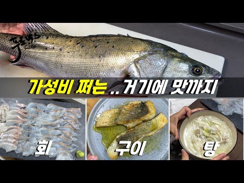 [1인 만원 ]가성비 쩌는데..  회,구이, 탕 뭐 빠지는게 없는...